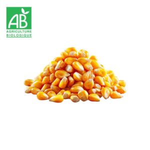 Maïs pop corn pas cher bio vrac versailles sèvres