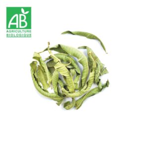 verveine citronné feuilles bio versailles sèvres route des comptoirs