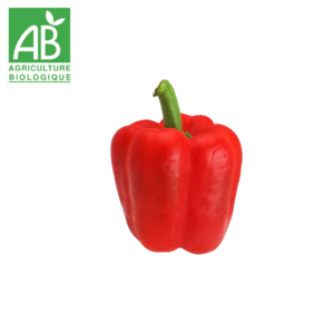 Poivron rouge
