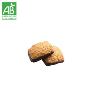 Biscuit carré coco