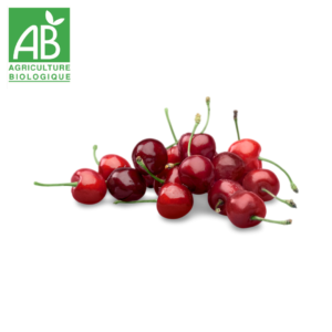Cerises burlat bio