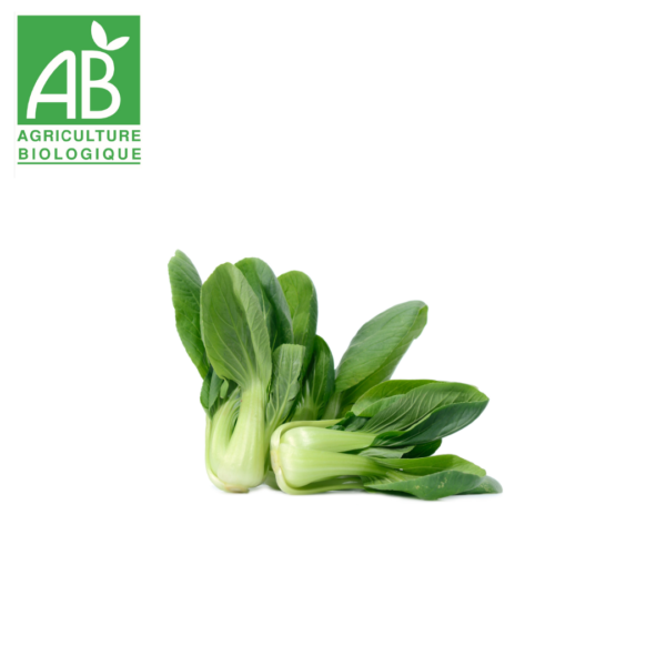 Chou pak choi