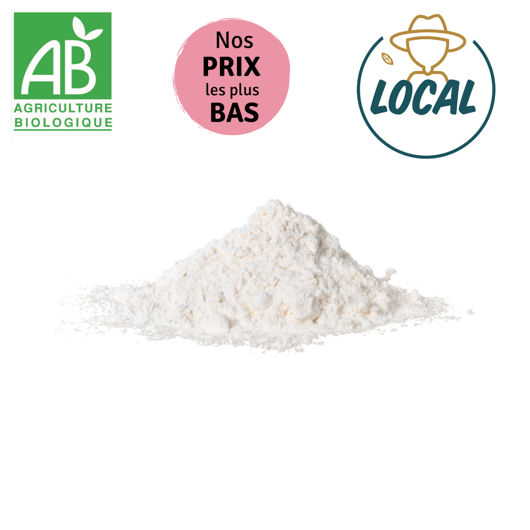 Farine de blé T65 – 100g