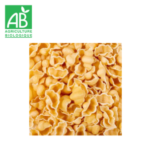 Gnocchis blanc