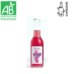 Infusion glace bio hibiscus