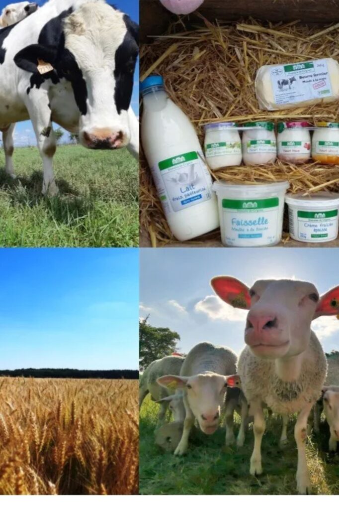 Ferme grignon versailles Sèvres vrac