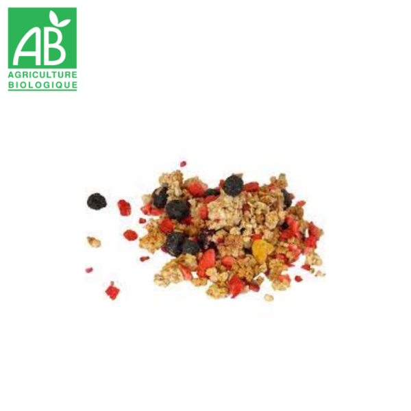 Muesli fruits rouges