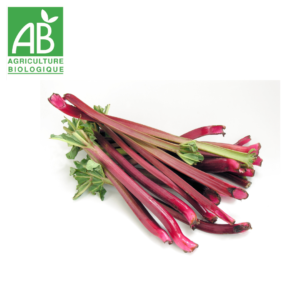 Rhubarbe bio
