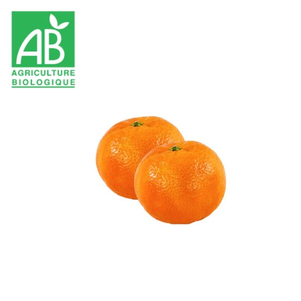 Clementine bio