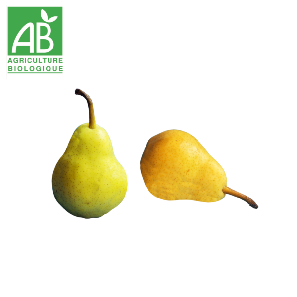 Poire guyot