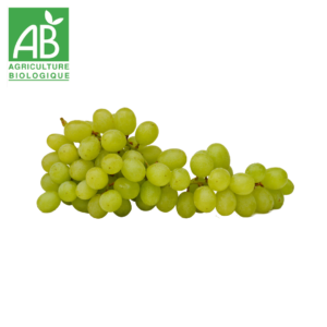 Raisin italia blanc