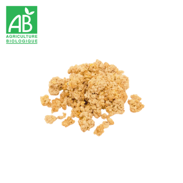 krounchy granola grillon d'or bio