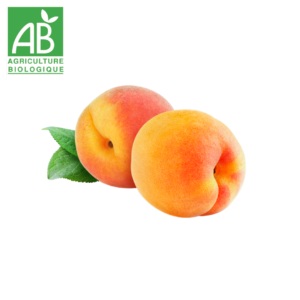 abricot bio