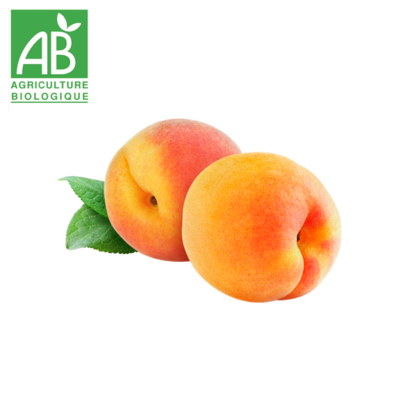 abricot bio