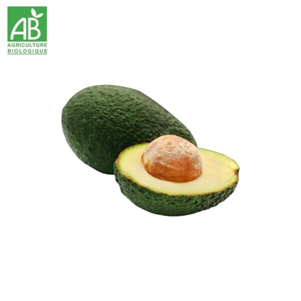 avocat bio