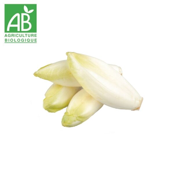 endive