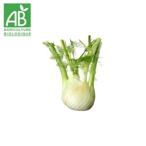 Fenouil bio