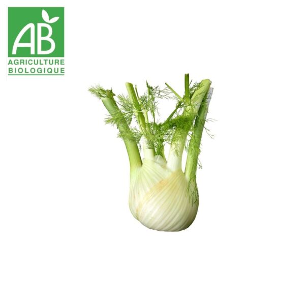 Fenouil bio