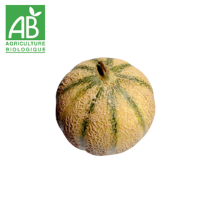 melon charentais bio