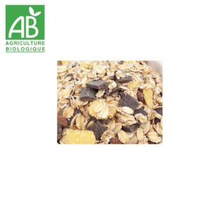 muesli chocolat grillon or