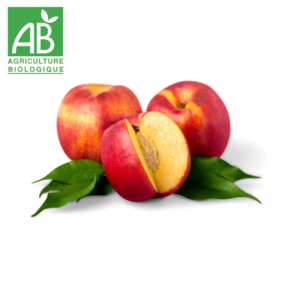 nectarine bio