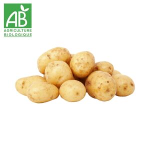 Les enfants de la Terre - Gingembre frais local 100g