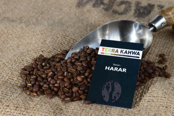 produit-cafe-torrefie-harar