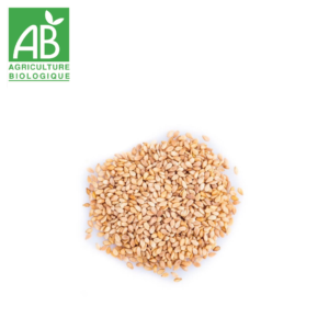 produit-graines-sesame