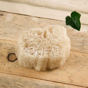produit-loofah-1.jpg