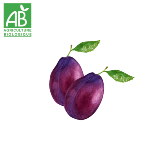 prune bio