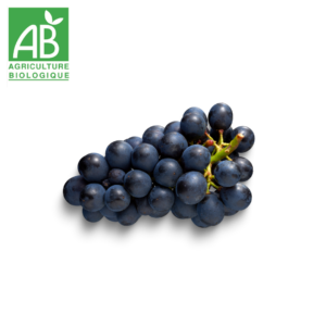 raison noir muscat