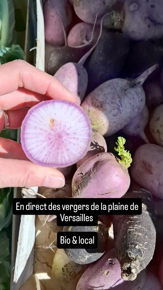 #plainedeversailles #bioetlocal #fruitsetlegumesbio #vergersdelahaye